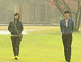2010 Secret Garden