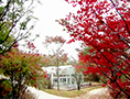 The Welcome House of MaiimVisionVillage